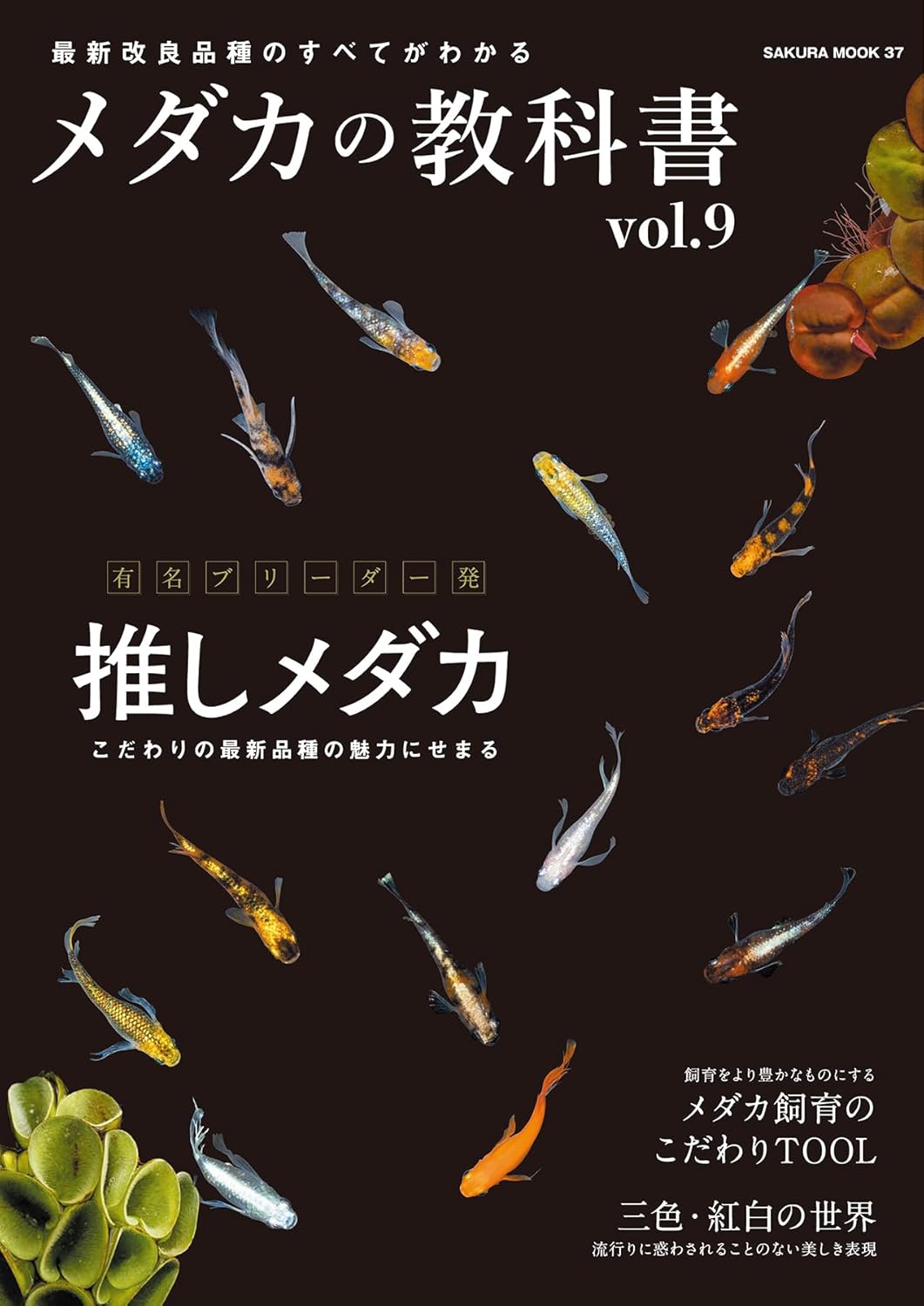 メダカ飼育ガイド vol.9 (サクラBooks)
