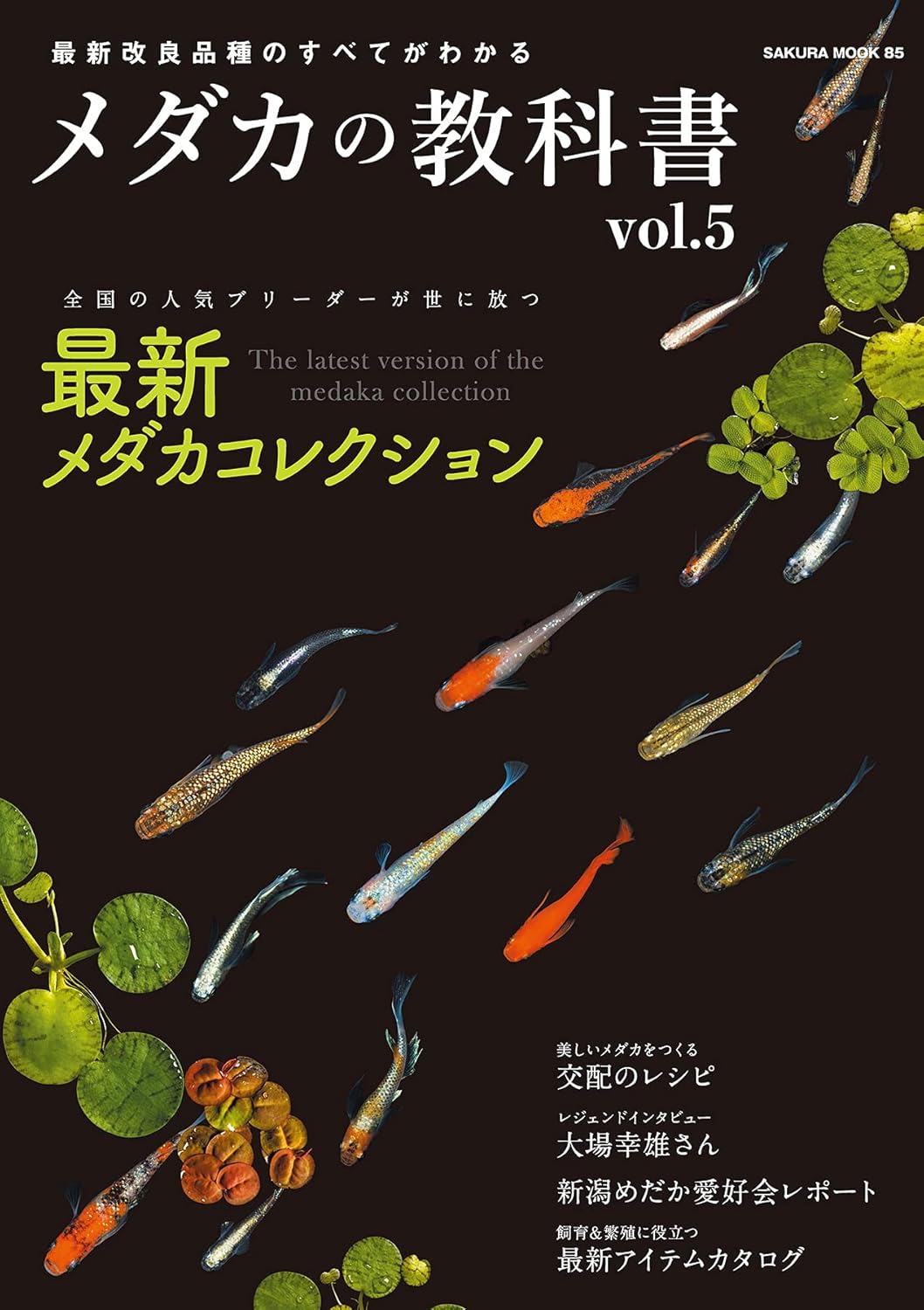 メダカ飼育ガイド vol.5