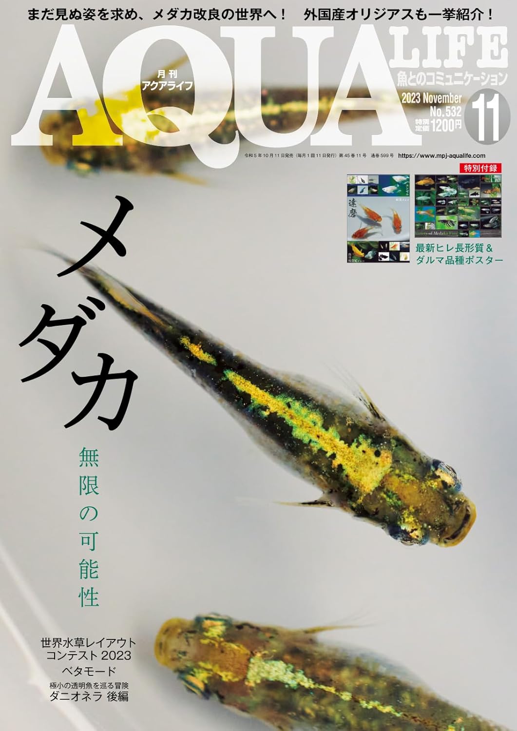 アクアライフ 2023年11月号 Ж雑誌