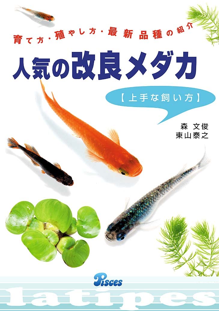 改良メダカの飼い方ガイド: 育成・繁殖・最新品種まとめ