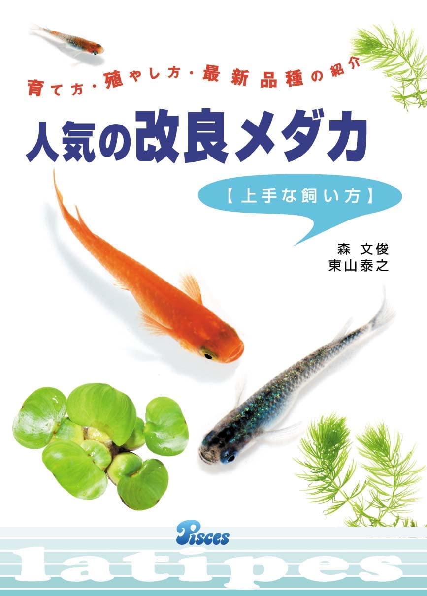 改良メダカの飼い方ガイド: 育成・繁殖・最新品種まとめ