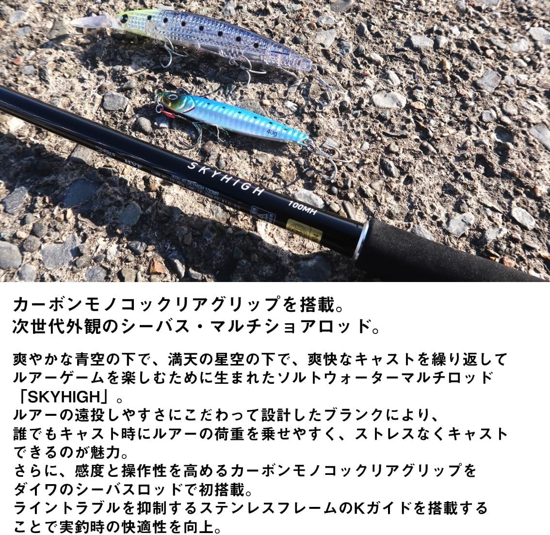 2025年モデル ダイワ 汎用ルアーロッド SKYHIGH