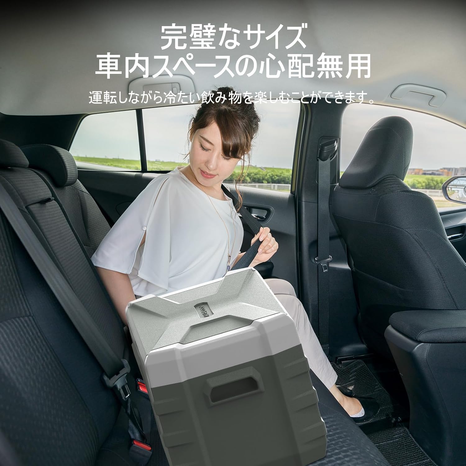 ポータブル冷蔵庫 27L -20℃～20℃ 車載・家庭用 3WAY電源 静音・低電圧保護