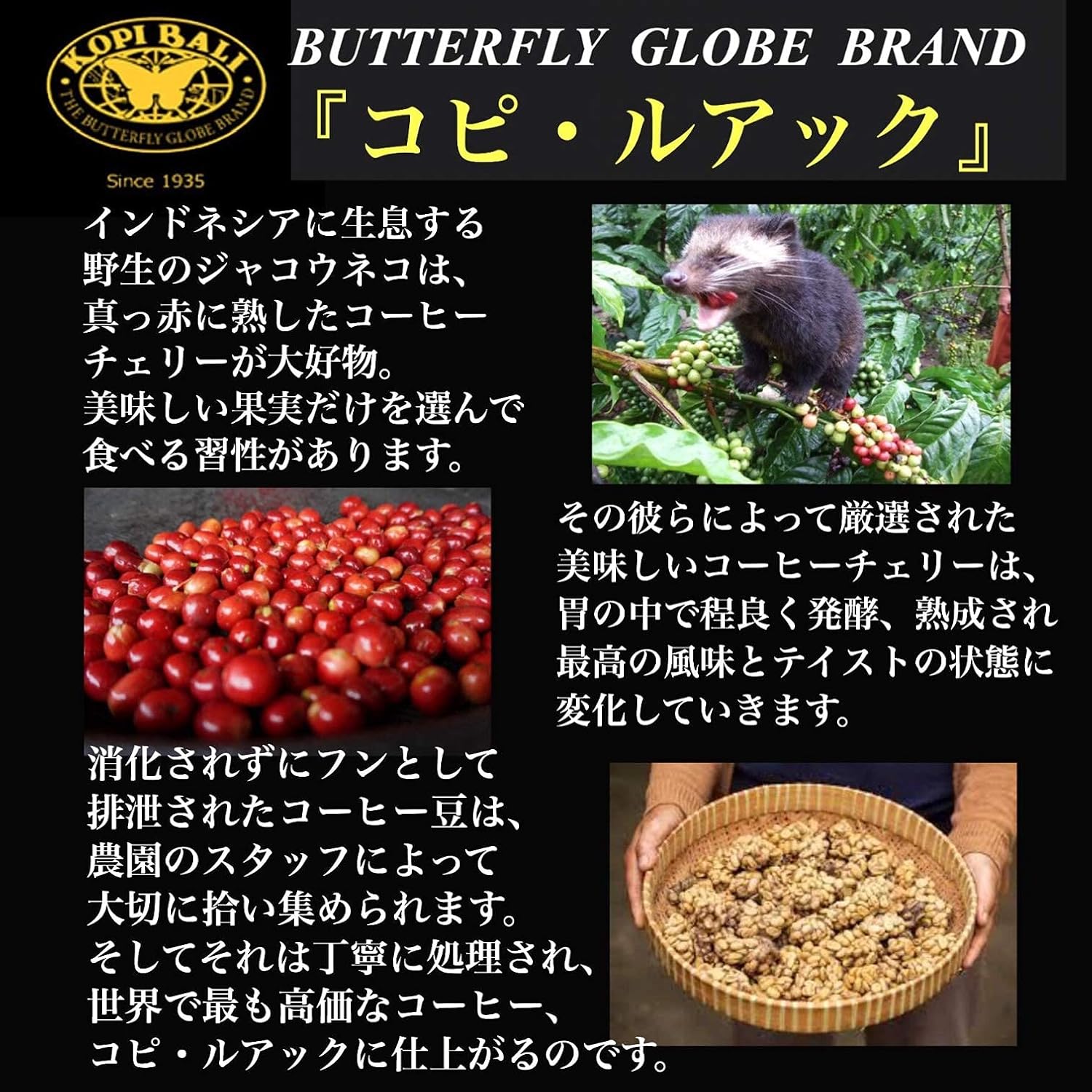 コピ・ルアク 50g 魅惑のジャコウネココーヒー豆