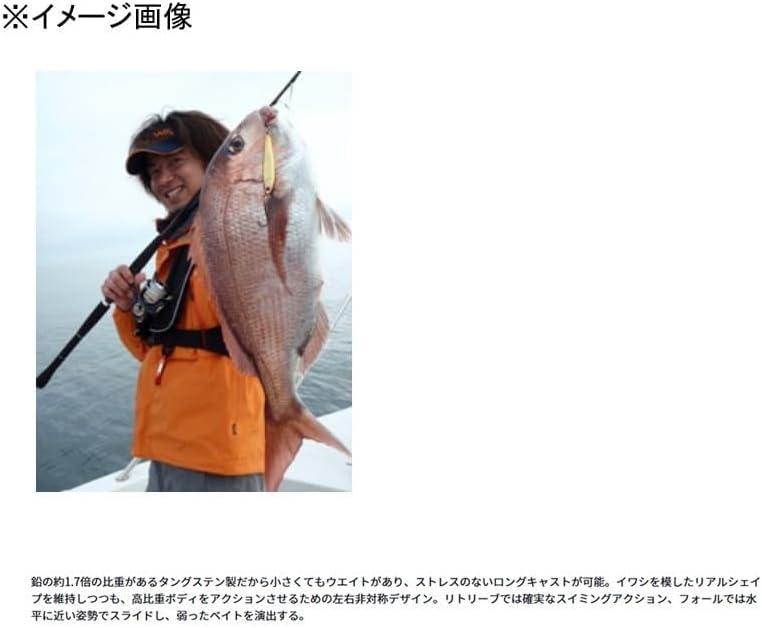 ダイワ タングステンジグ TGベイト 30~180g 各種