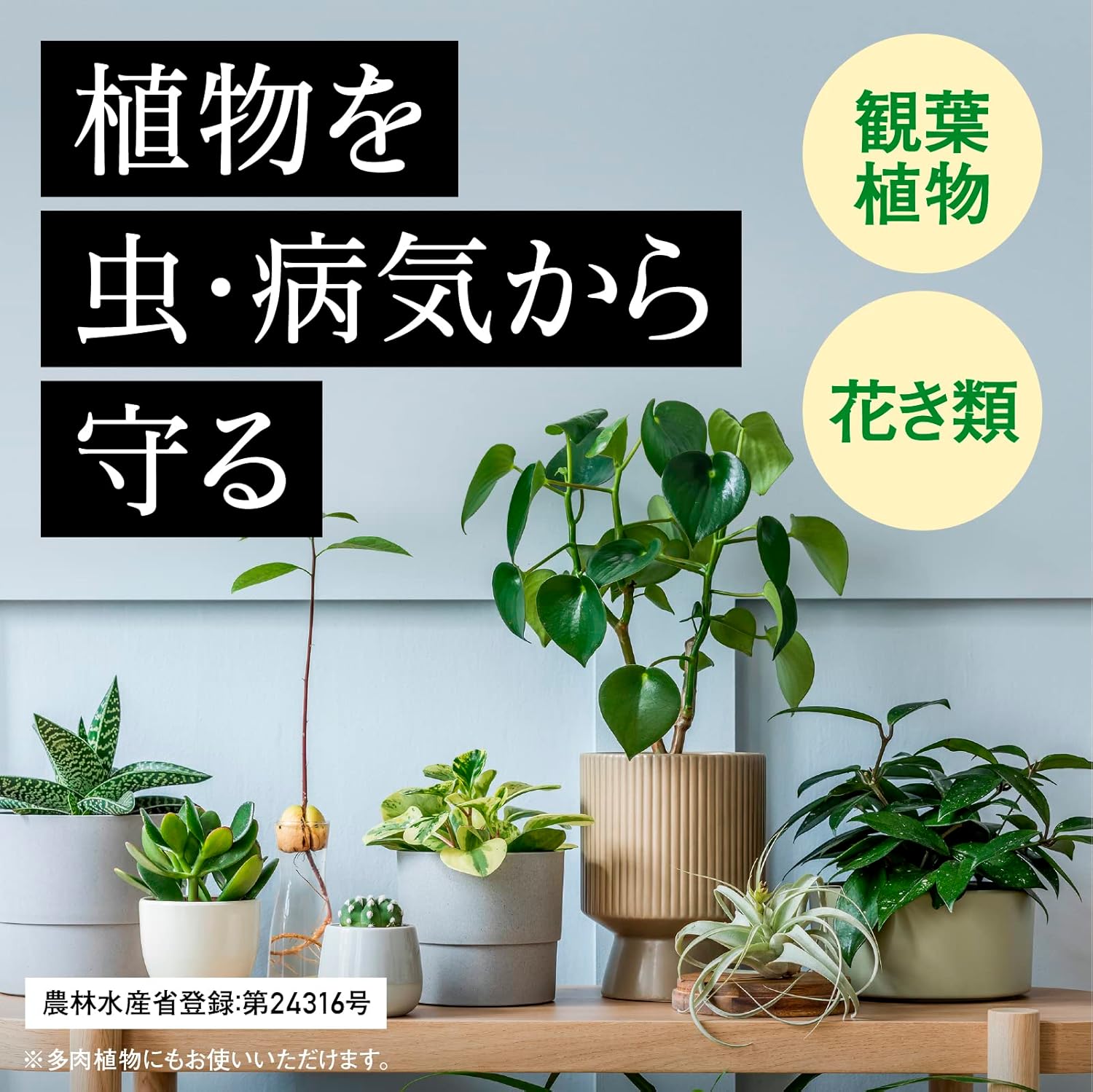 観葉植物向け 殺菌殺虫スプレー 500ml 室内用