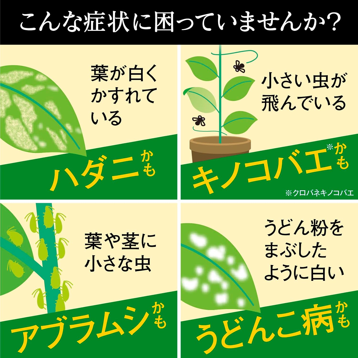観葉植物向け 殺菌殺虫スプレー 500ml 室内用
