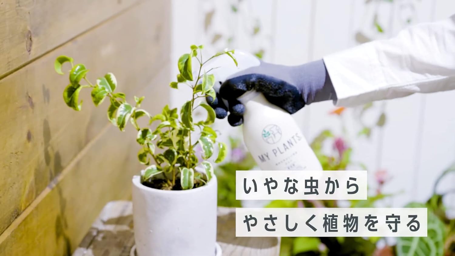 住友化学園芸 植物用殺虫剤 MY PLANTS 虫除けミスト 250ml