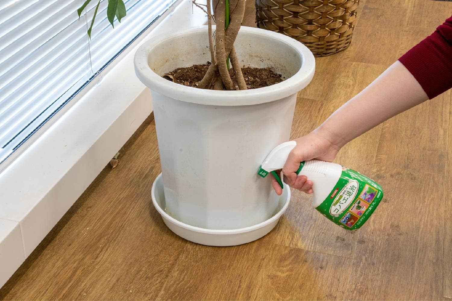 コバエ駆除スプレー 400ml 室内用 虫よけプランター周辺用