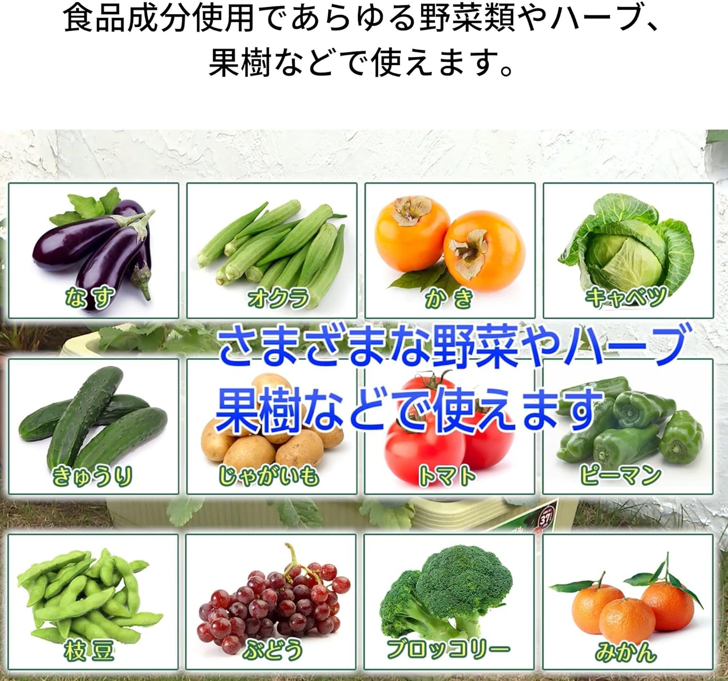 天然成分使用 ベニカマイルドスプレー 1000ml 殺虫殺菌剤