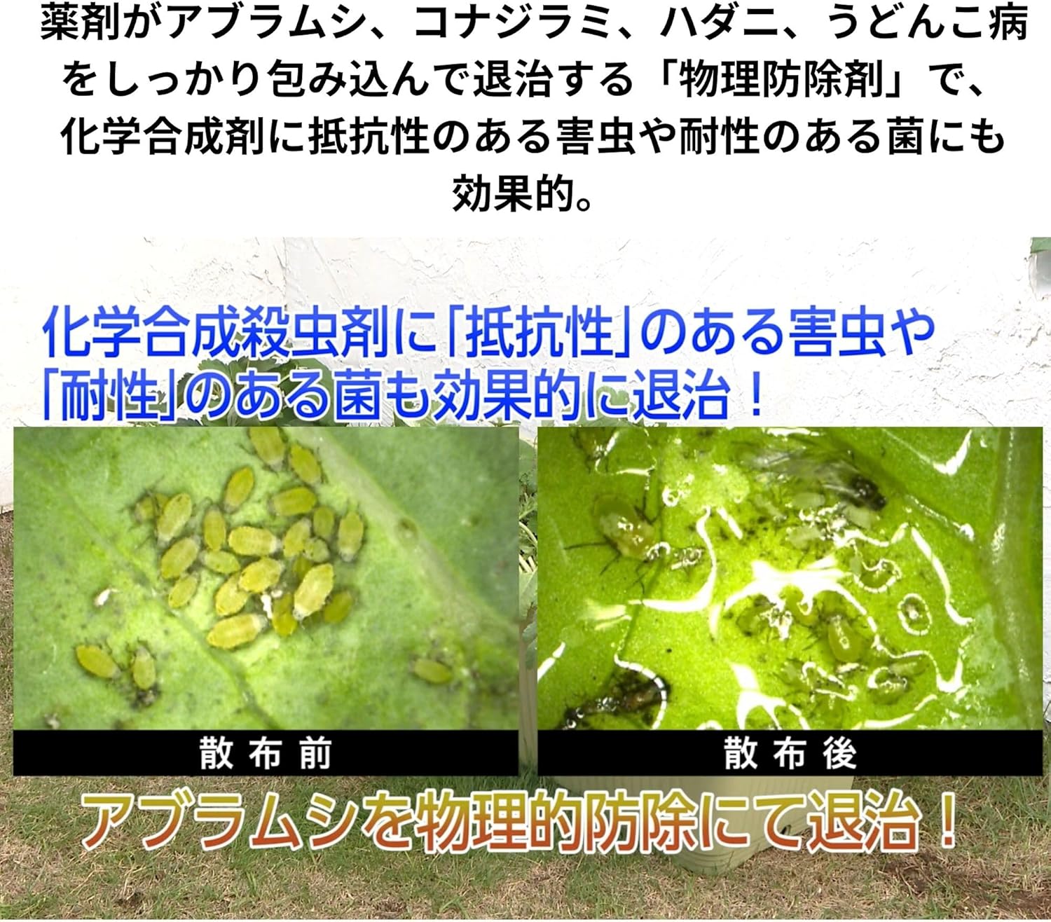 天然成分使用 ベニカマイルドスプレー 1000ml 殺虫殺菌剤
