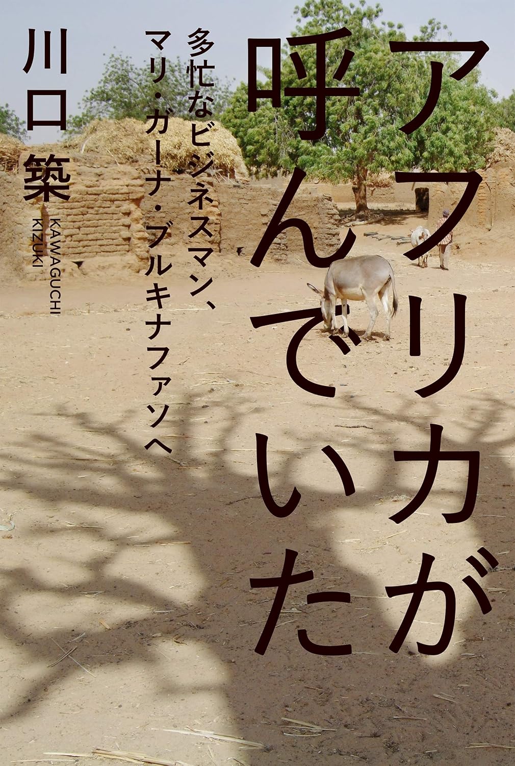 ビジネスマン向けアフリカ旅行ガイド - マリ・ガーナ・ブルキナファソ