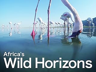 アフリカの野生動物ドキュメンタリー (4K UHD)