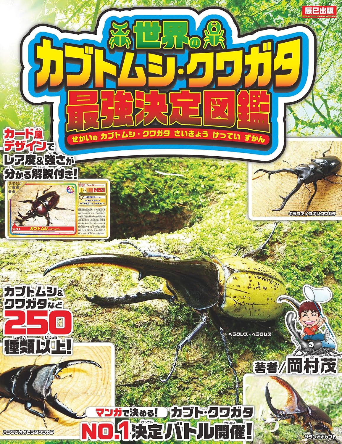 カブトムシ・クワガタ図鑑 - 最強種完全ガイド