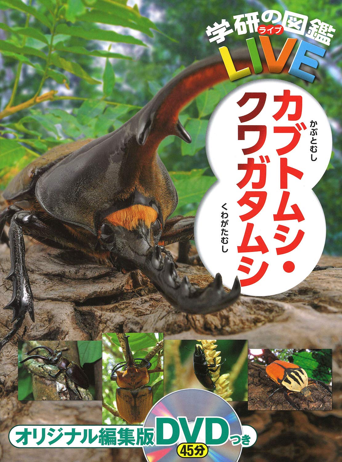 カブトムシ・クワガタムシ図鑑 (学研の学習図鑑シリーズ)