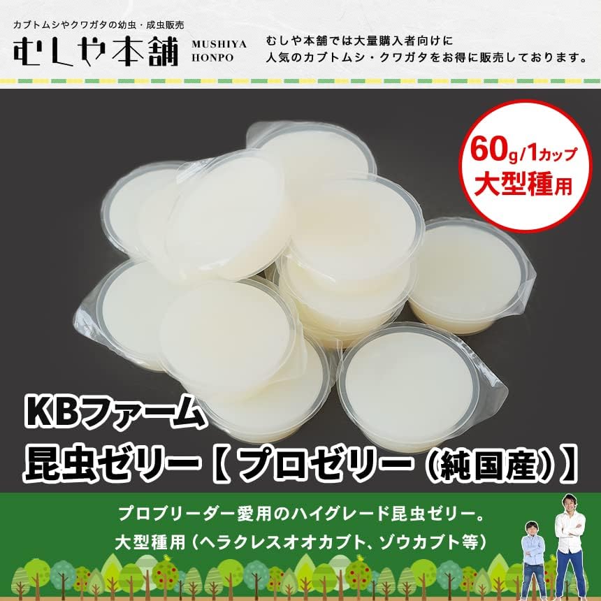 【大型種用】純国産昆虫ゼリー（60g×30個）カブトムシ・クワガタ用