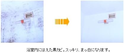 強力カビ取り剤 B-1 スプレータイプ 500ml 浴室用