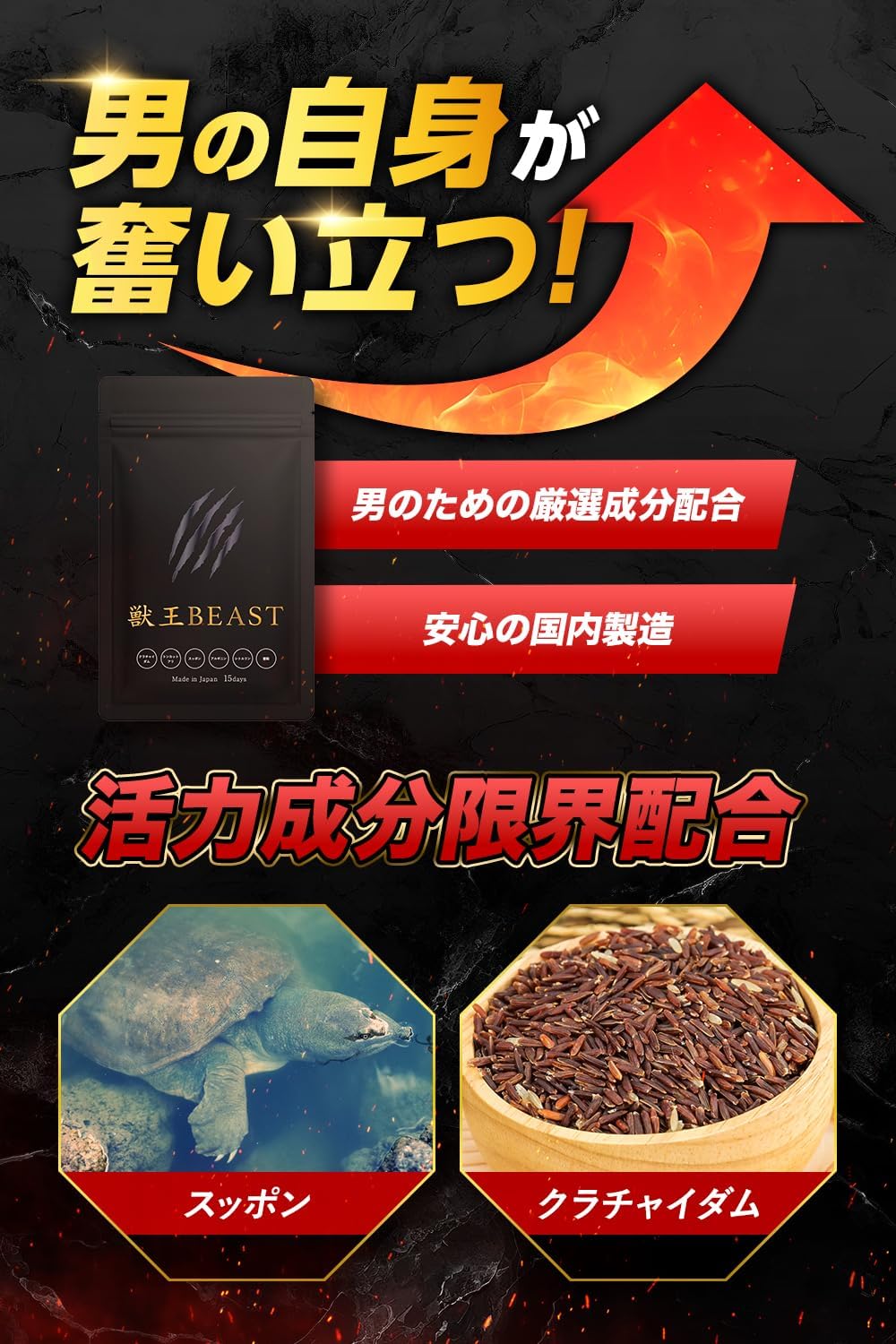 獣王BEAST クラチャイダム すっぽんサプリメント 15日分 日本製