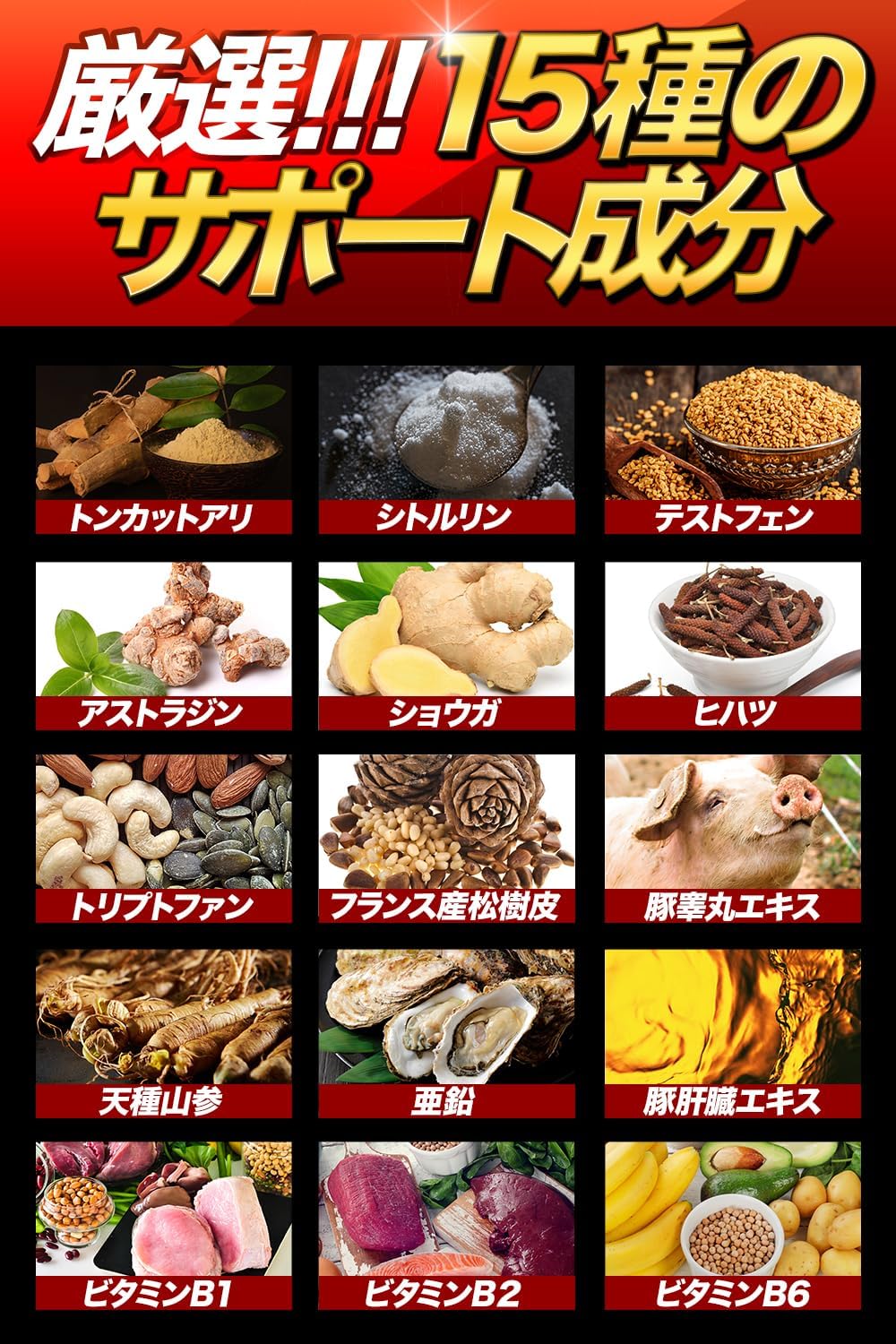 獣王BEAST クラチャイダム すっぽんサプリメント 15日分 日本製