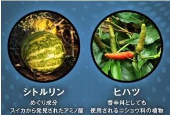 スカルプD サプリメント シトルリン×ヒハツ 120粒【健康維持用】