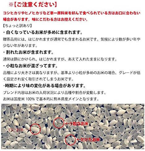 業務用純国産米 10kg 大盤振米 (5kg×2) コスパ最強
