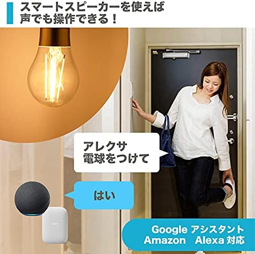 アレクサ対応 LED電球 E26 調光・調色 昼光色/電球色 ハブ不要 日本製 810lm