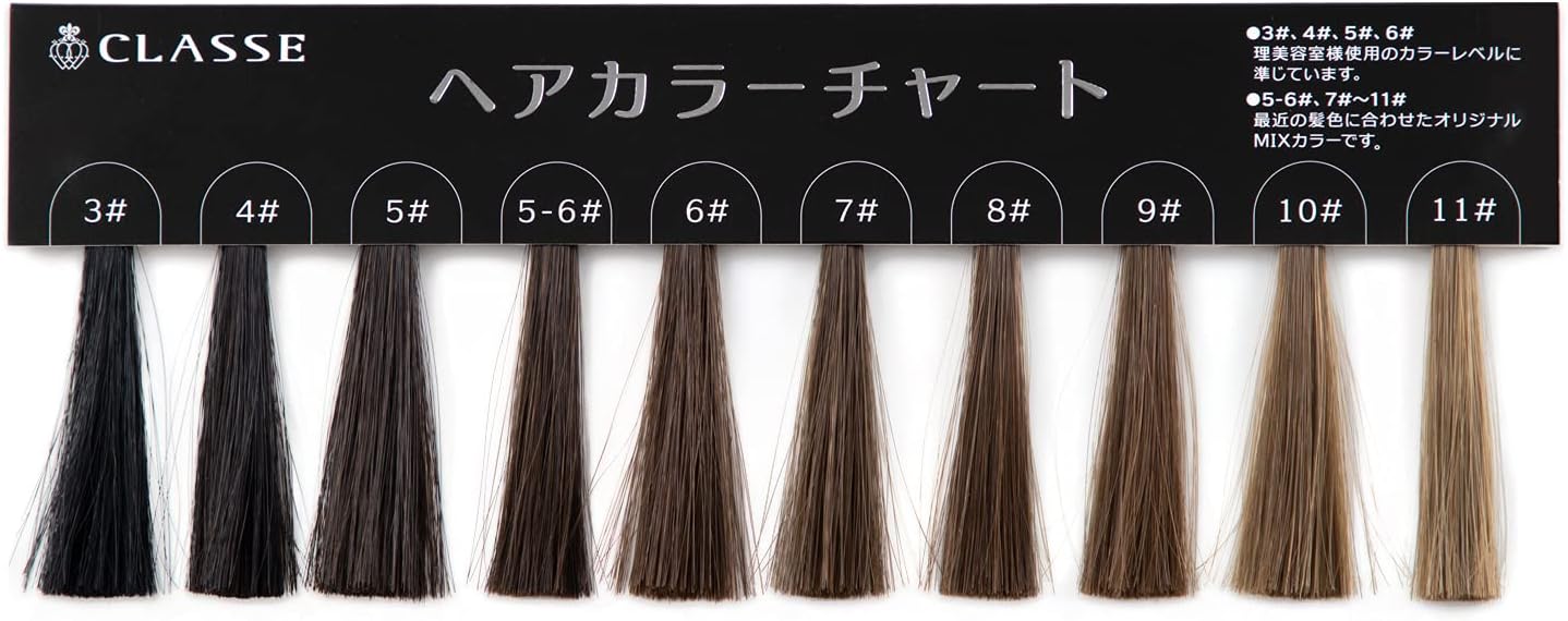 髪色基準用ヘアカラーチャート カードタイプ 携帯便利 最新色