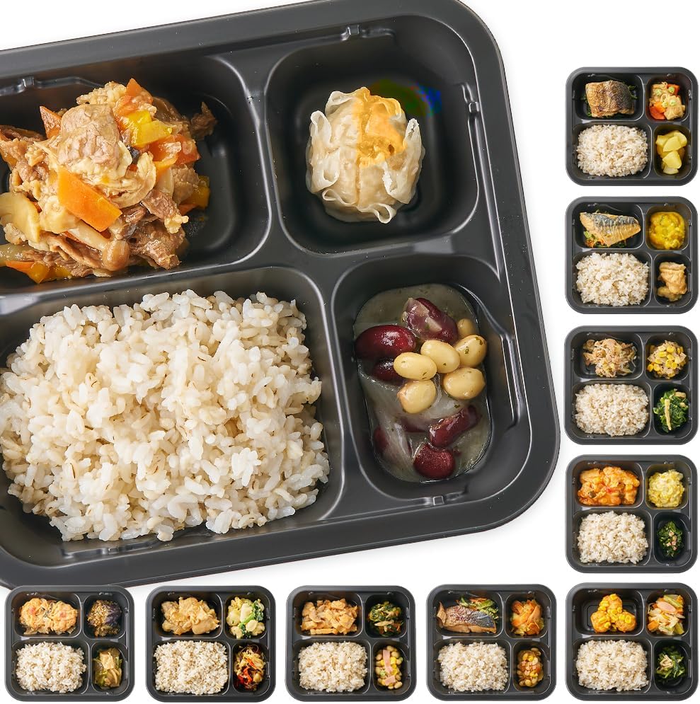 健康管理士監修 ワンプレートまごころ弁当10食セット 冷凍ギフト
