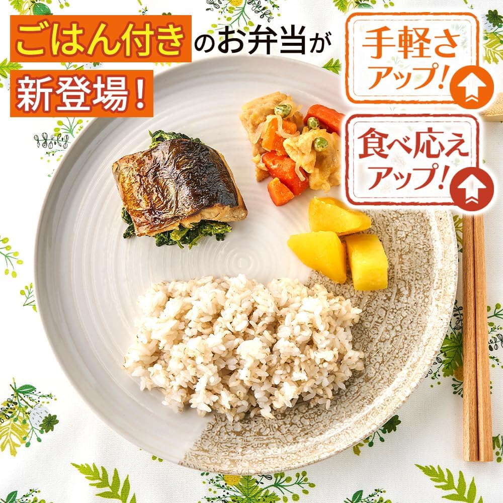健康管理士監修 ワンプレートまごころ弁当10食セット 冷凍ギフト