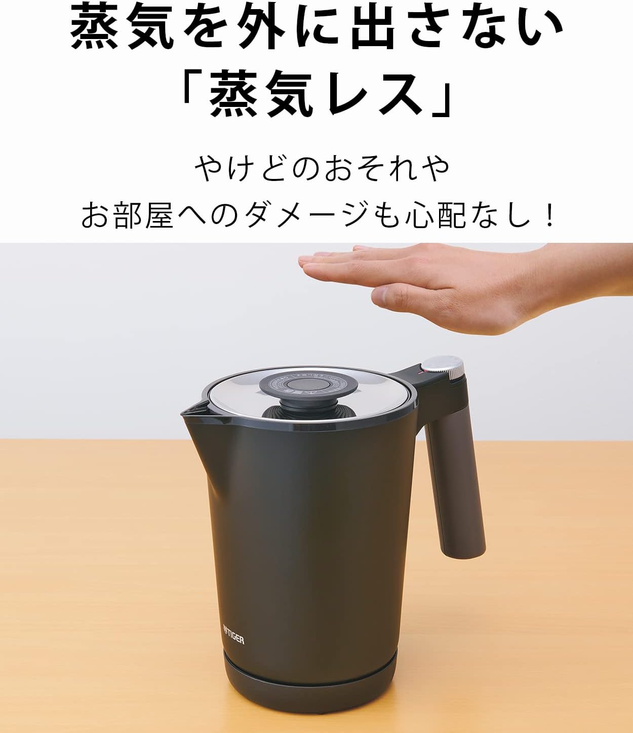 温度調節機能付き ステンレス電気ケトル 1.0L ルビーレッド