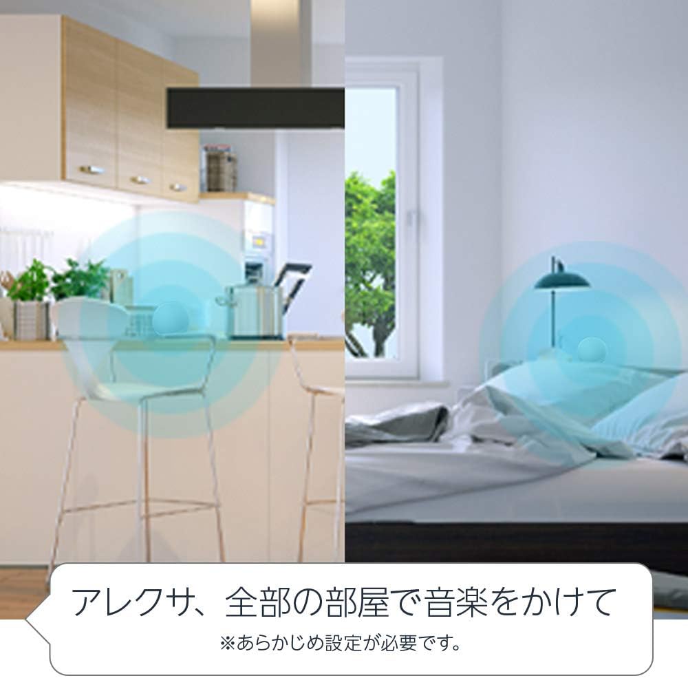 スマートホームハブ搭載 Alexa対応エコースピーカー 第4世代 チャコール