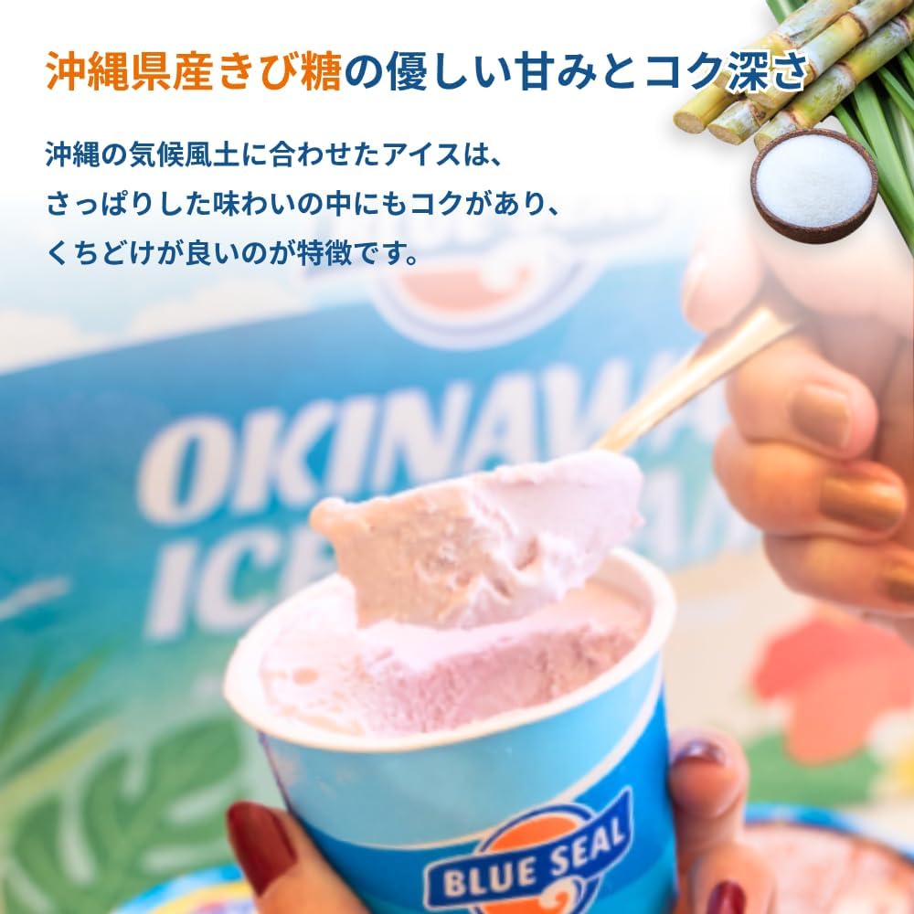 沖縄直送 ブルーシールアイスクリームギフトセット 12個入り