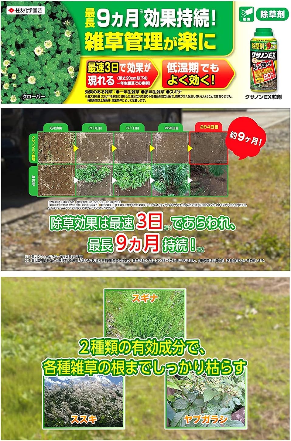 除草剤 クサノンEX粒剤400g - 強力・持続性、スギナ対応、最大散布80㎡