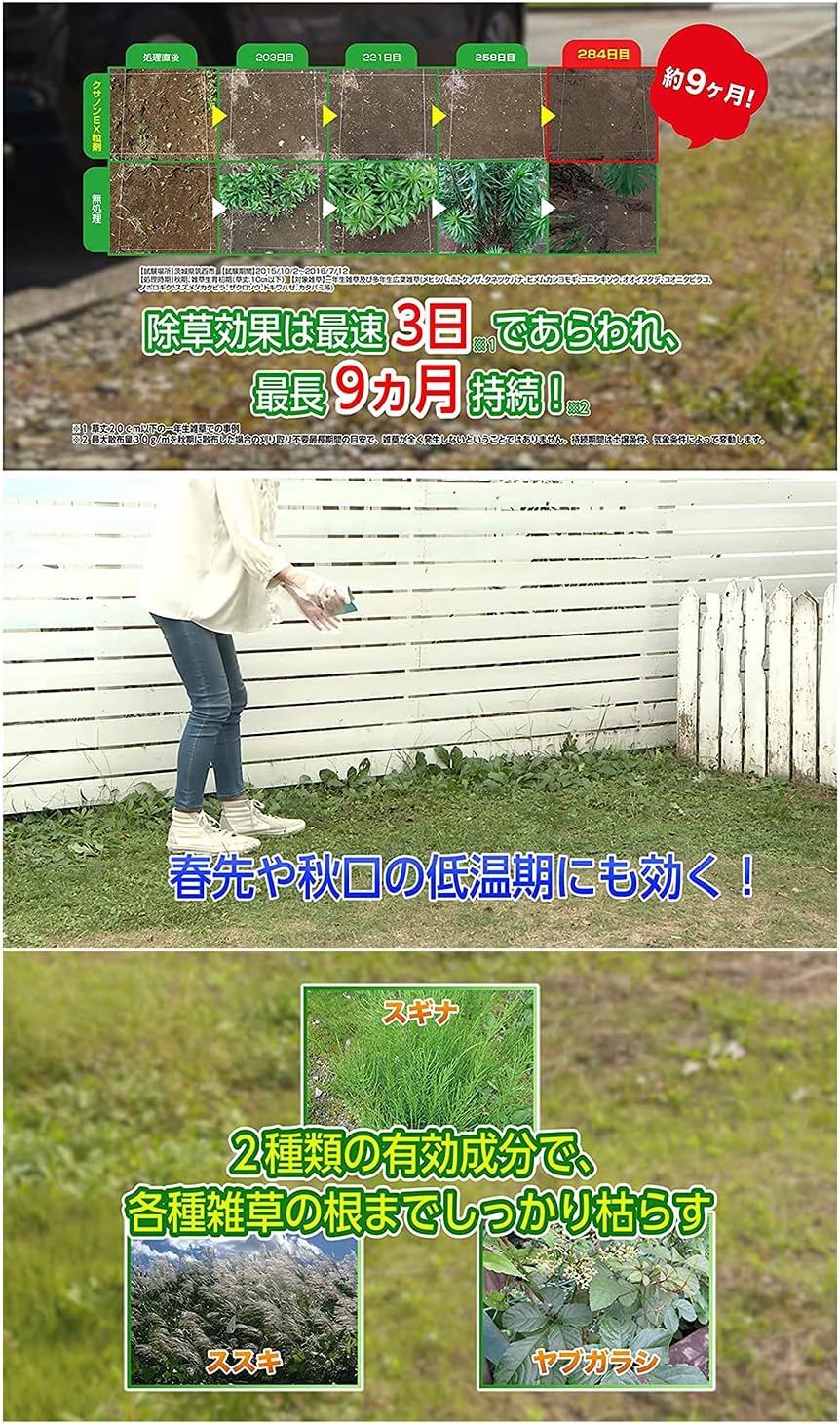 住友化学園芸 クサノンEX粒剤 5kg 強力な除草剤 スギナ対応 最大散布面積1000㎡