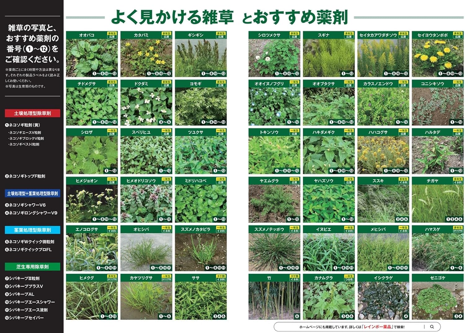 レインボー除草剤 こっぱみじんM 3kg