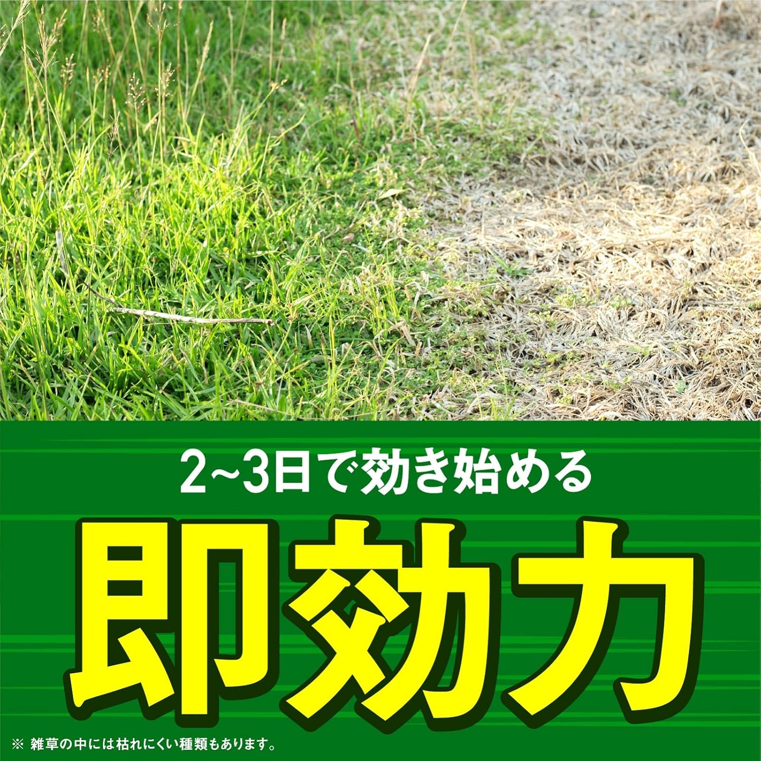 アースガーデン アースカマイラズ 4.5L 除草剤ジョウロヘッド用 液体雑草対策