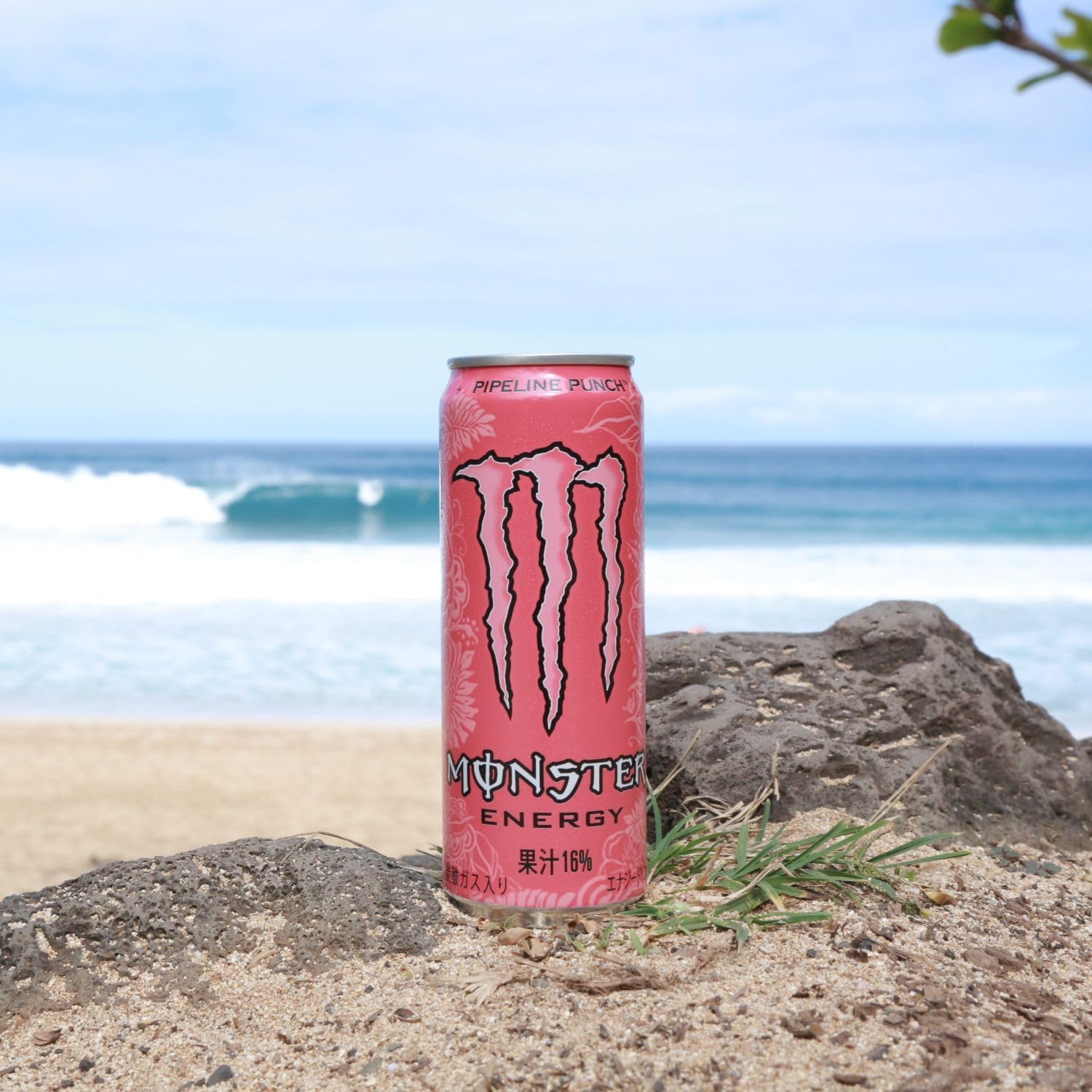 モンスターエナジードリンク パイプラインパンチ 355ml×24本