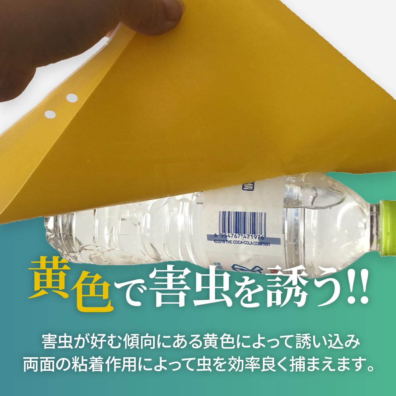 観葉植物用 捕虫シート 25枚入り 20cm×25cm ハエ・コバエ対策