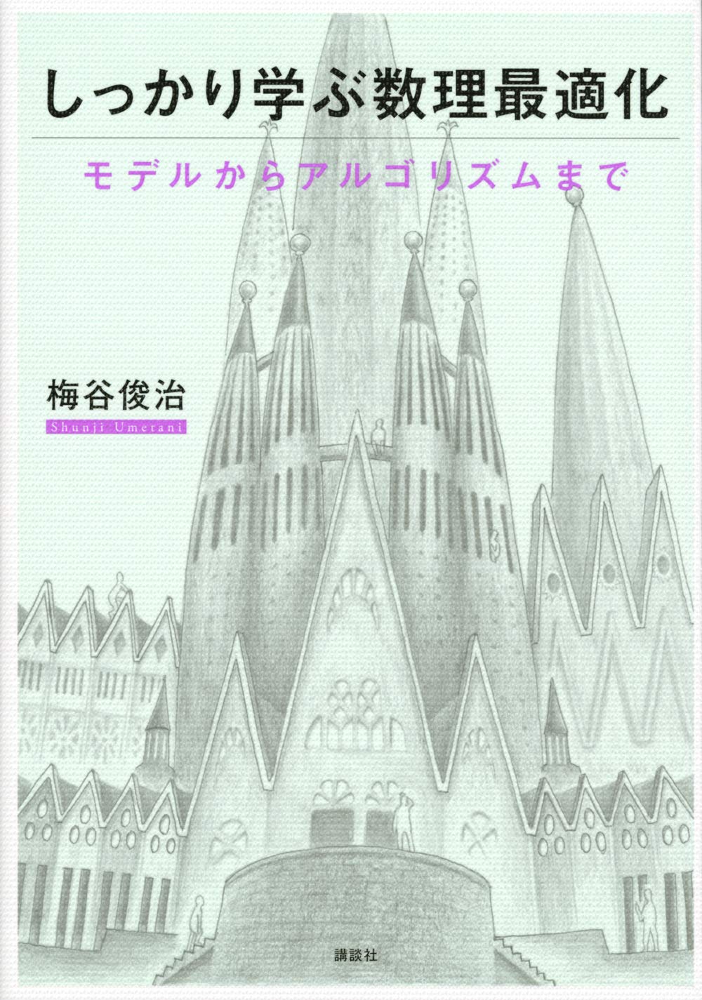 数理最適化の基礎：モデルとアルゴリズムの学習 (KS情報科学専門書)