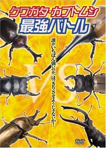 クワガタ・カブトムシバトルDVD