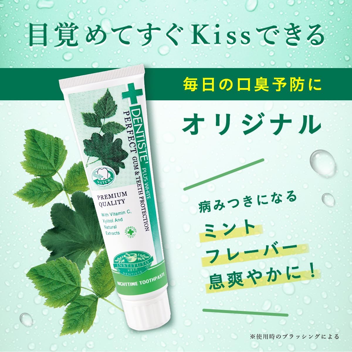 デンティス エチケット ミントハミガキ粉 100g