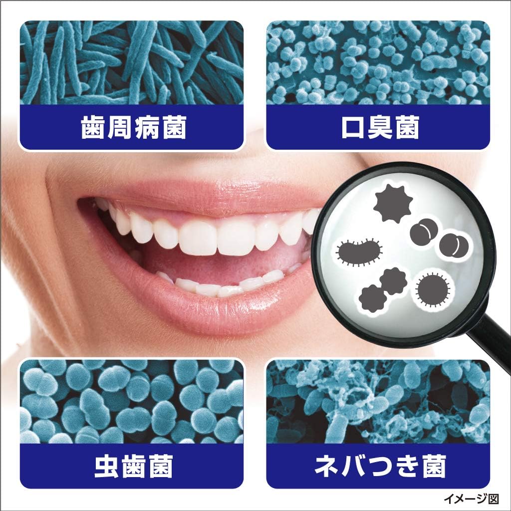 歯周病予防 薬用ハミガキ 90g メディカルミント【医薬部外品】