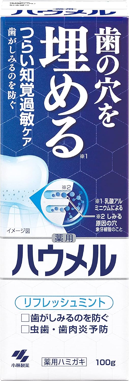 知覚過敏ケア薬用ハミガキ 100g 小林製薬 【医薬部外品】