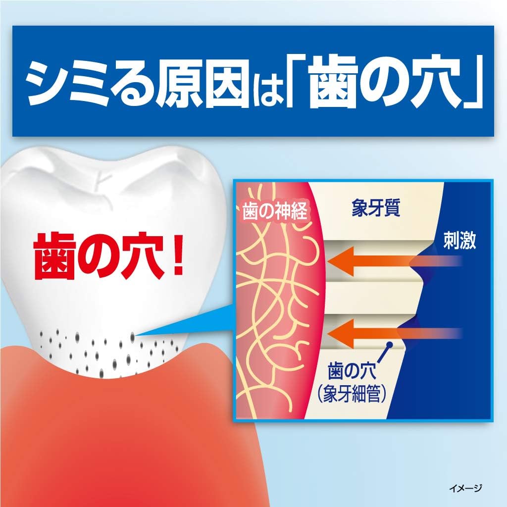 知覚過敏ケア薬用ハミガキ 100g 小林製薬 【医薬部外品】