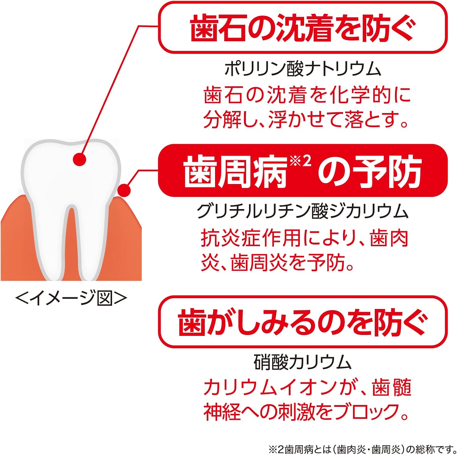 ジェクス ラクレッシュ EX 薬用ハミガキジェル 80g 知覚過敏・歯周病予防用