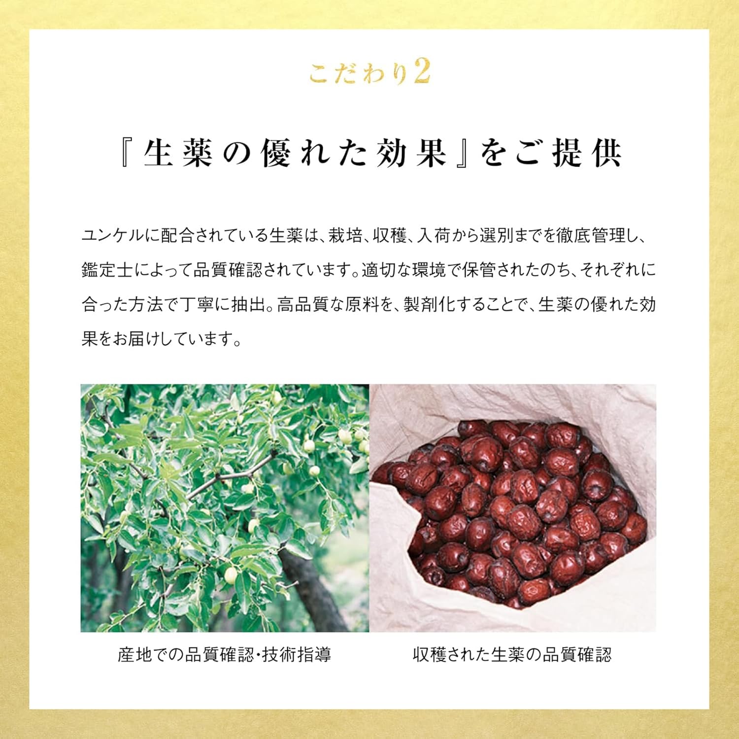 ユンケルローヤルCα 30mL×3本【指定医薬部外品】疲労回復サポート