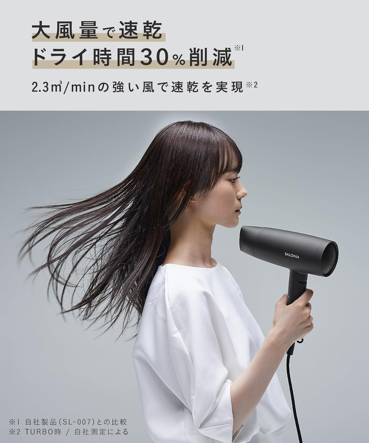 SALONIA スピーディーイオン ヘアドライヤー 【大風量・軽量・マイナスイオン】 グレー SL-013GR