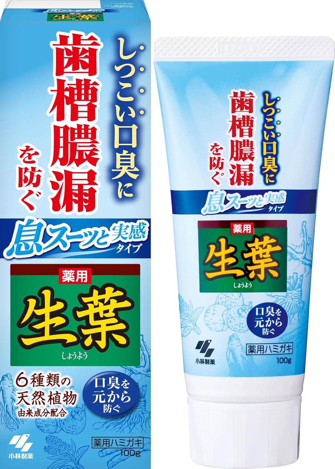生葉 薬用ハミガキ 100g - 歯槽膿漏予防・和漢ハーブ香味・口臭対策【医薬部外品】