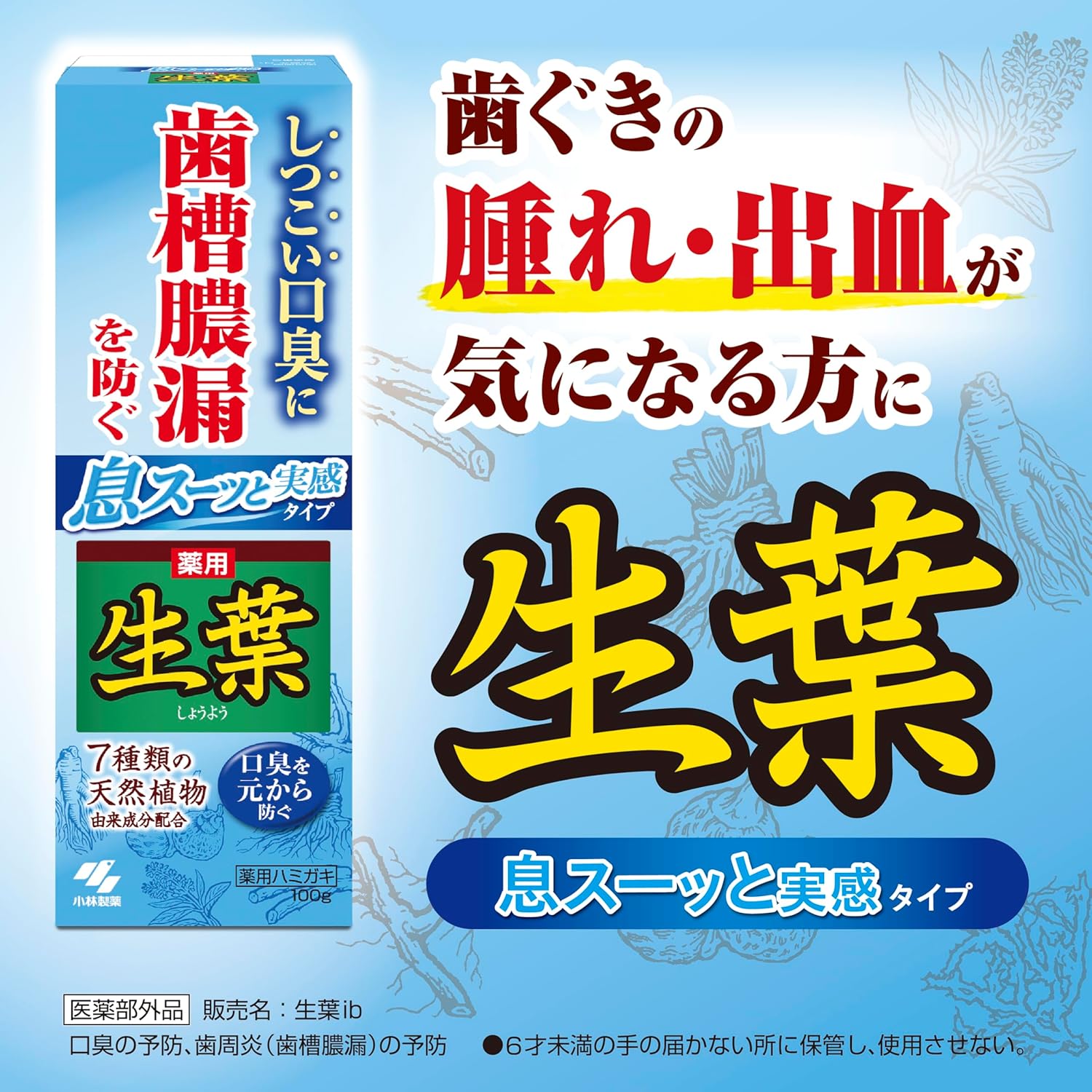 生葉 薬用ハミガキ 100g - 歯槽膿漏予防・和漢ハーブ香味・口臭対策【医薬部外品】