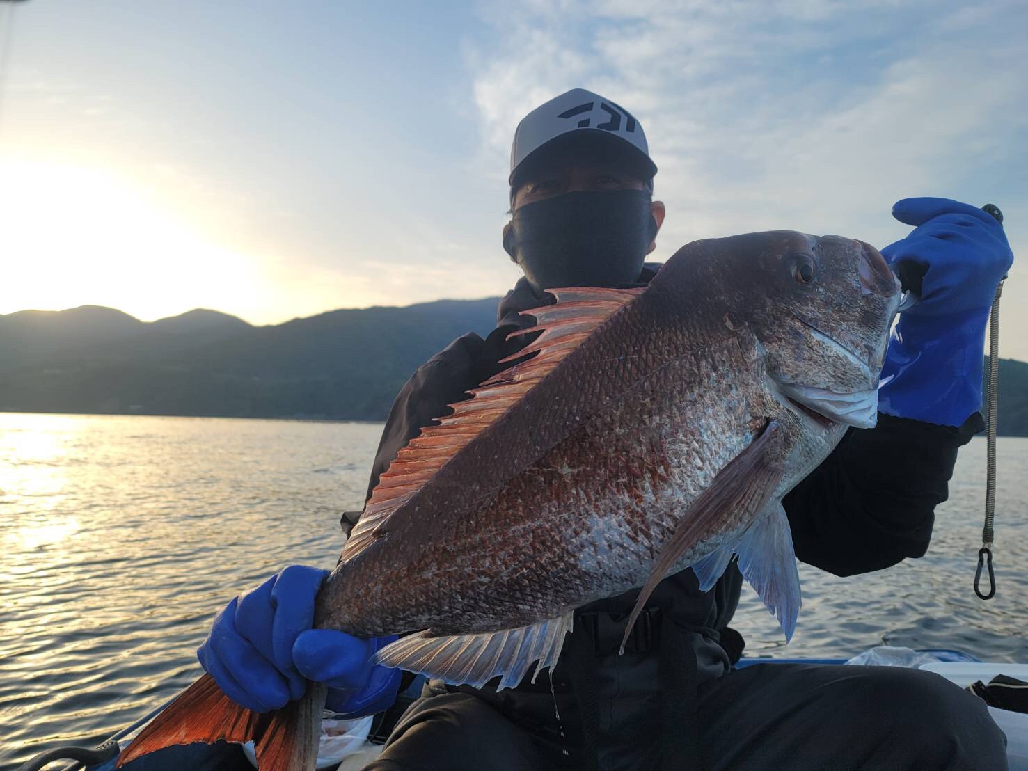 シマノ 炎月 集魚ネクタイ イカタコカーリー 各色